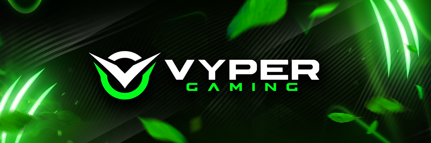 Background Vyper Gaming