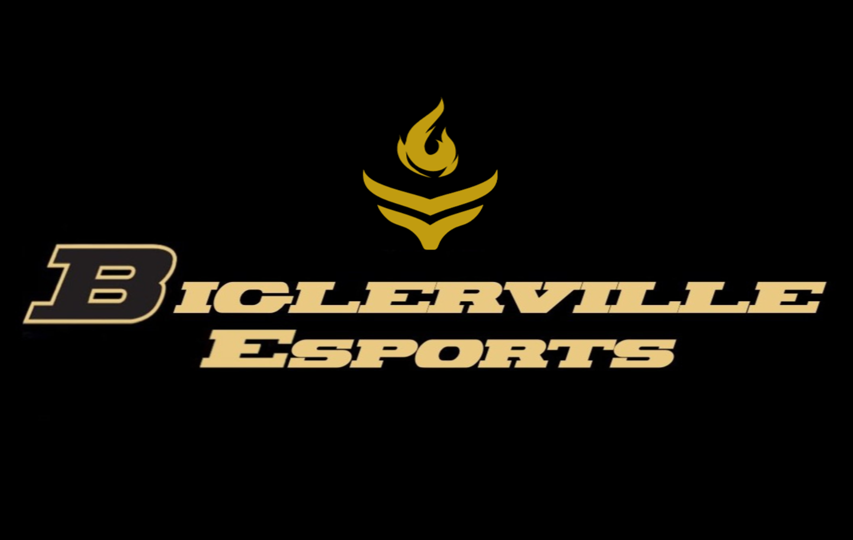 Background Biglerville HS Esports