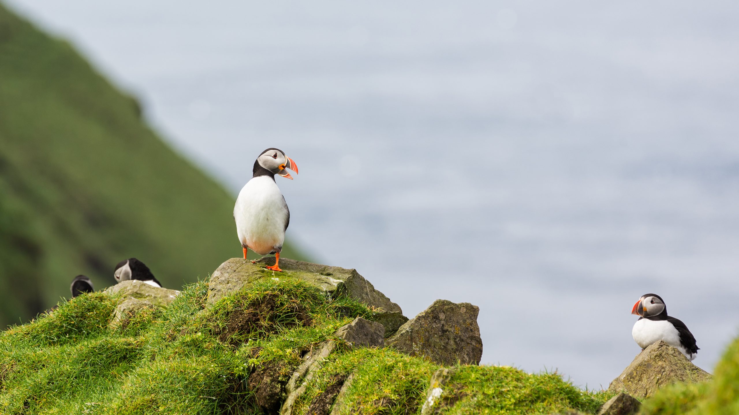 Background Lord's Landing