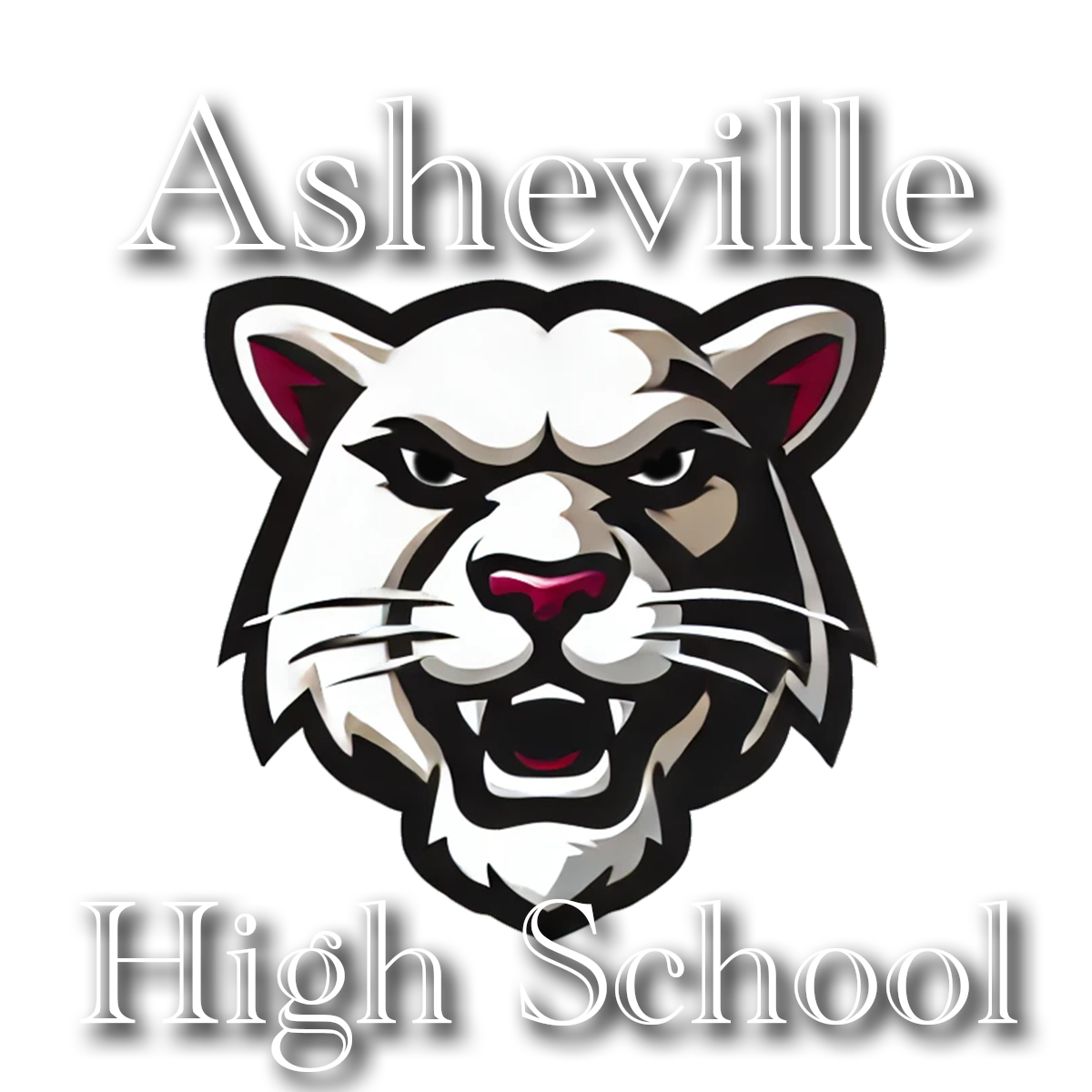 Background Asheville High Esports