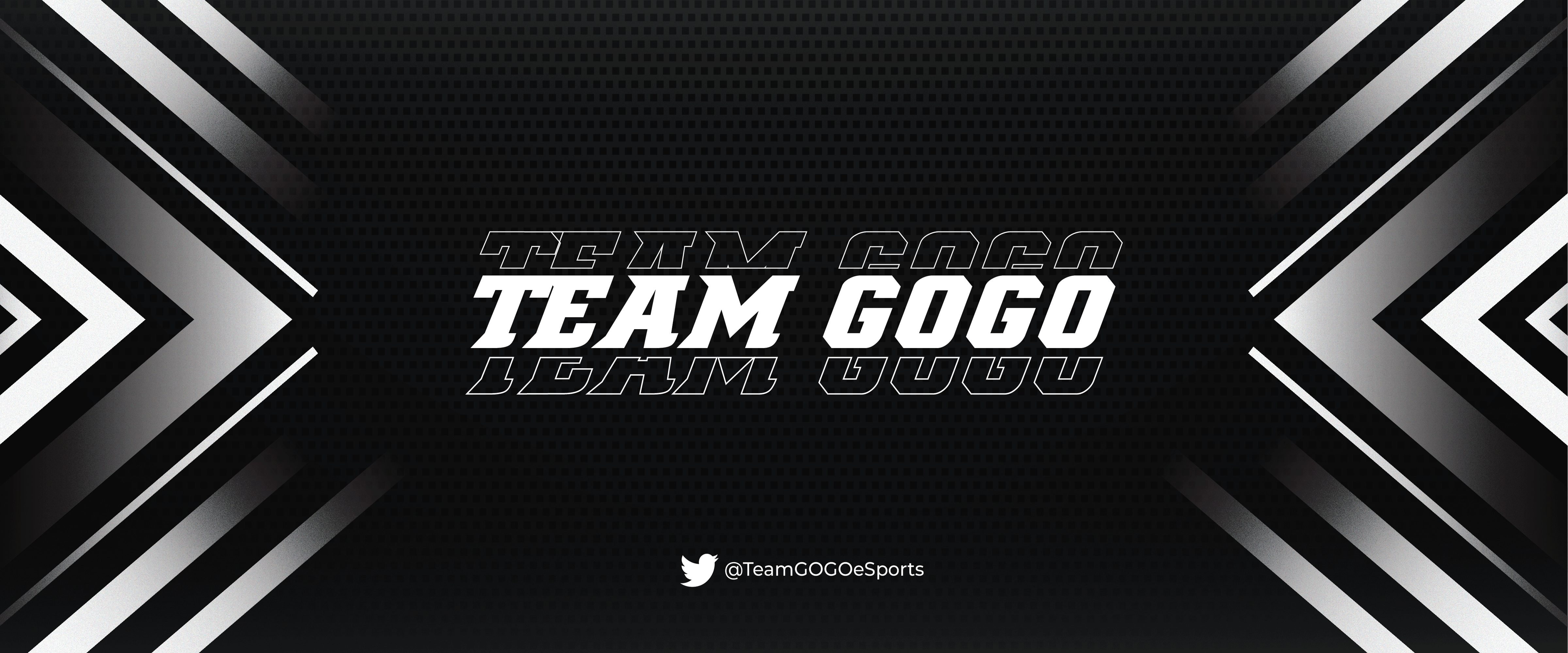 Background Team GOGO eSports