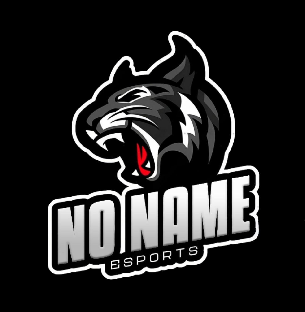 No Name Esports