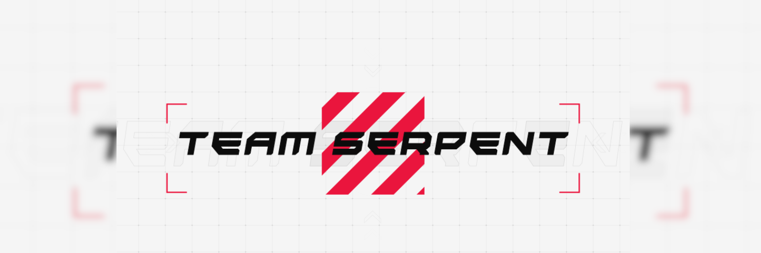 Background Team Serpent store
