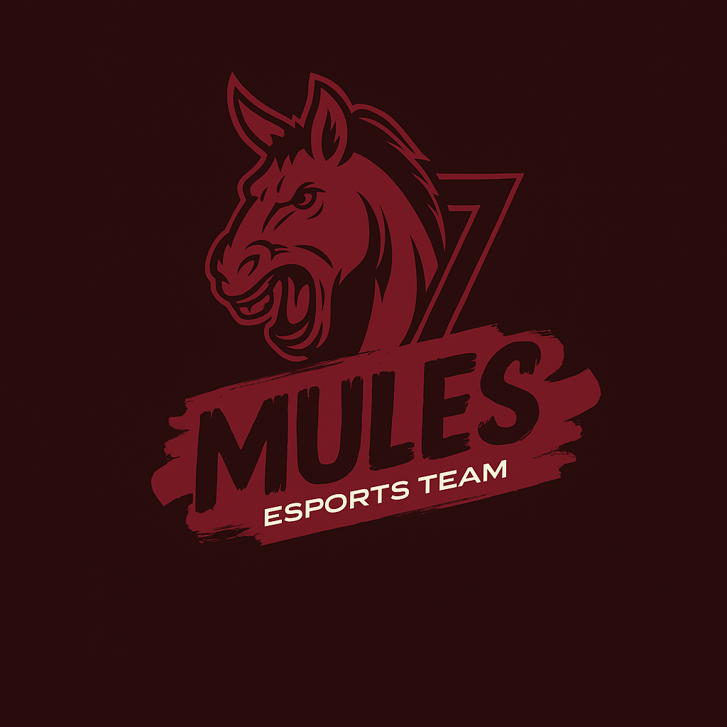 PBHS Mules Esports
