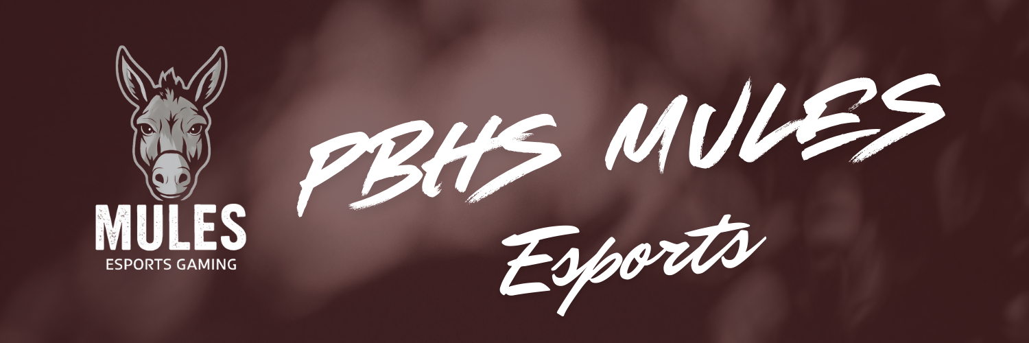 Background PBHS Mules Esports