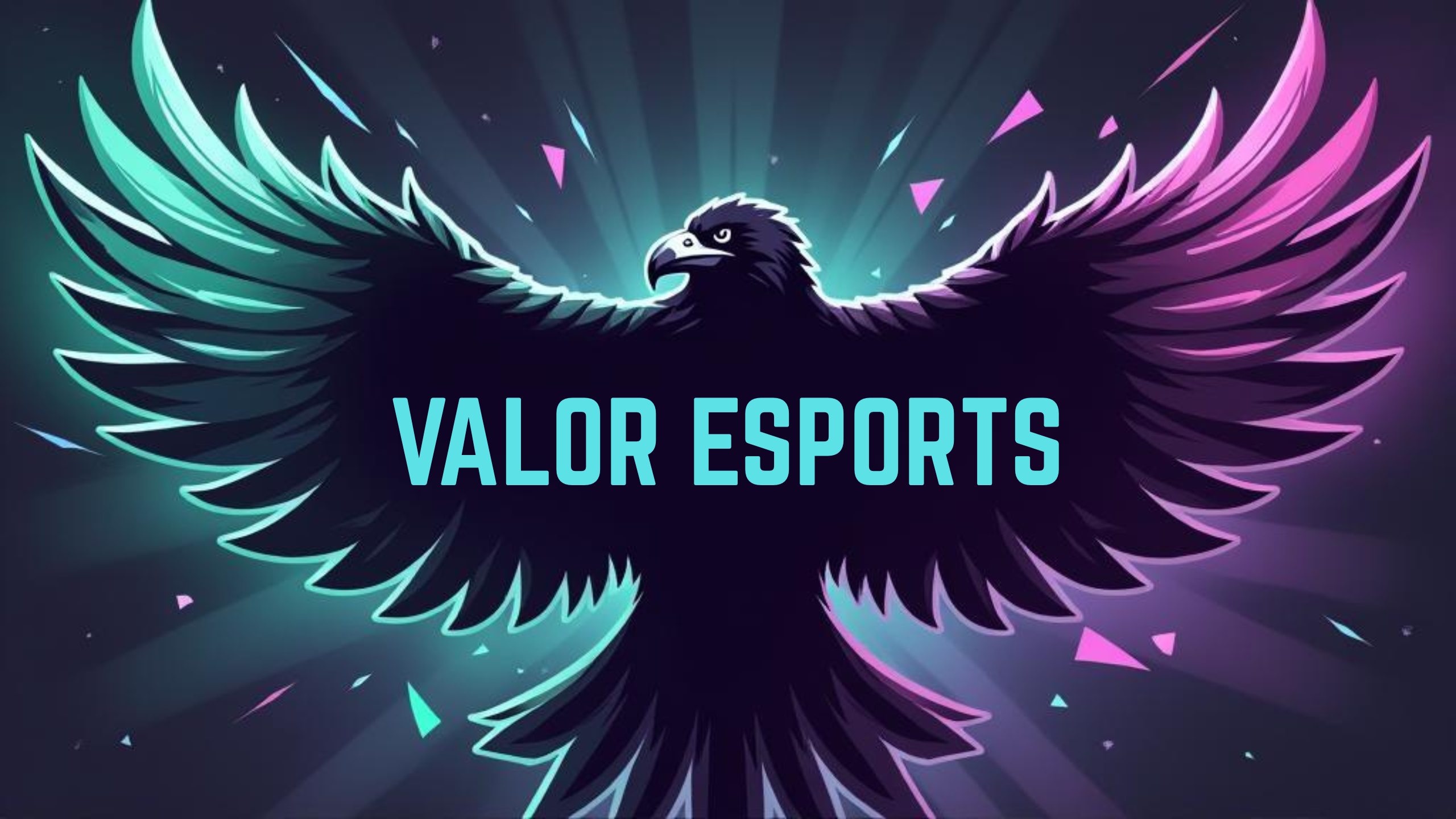 Background Valor Esports