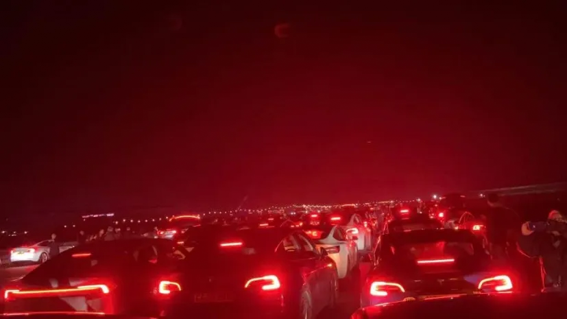 Background ThePredAlert