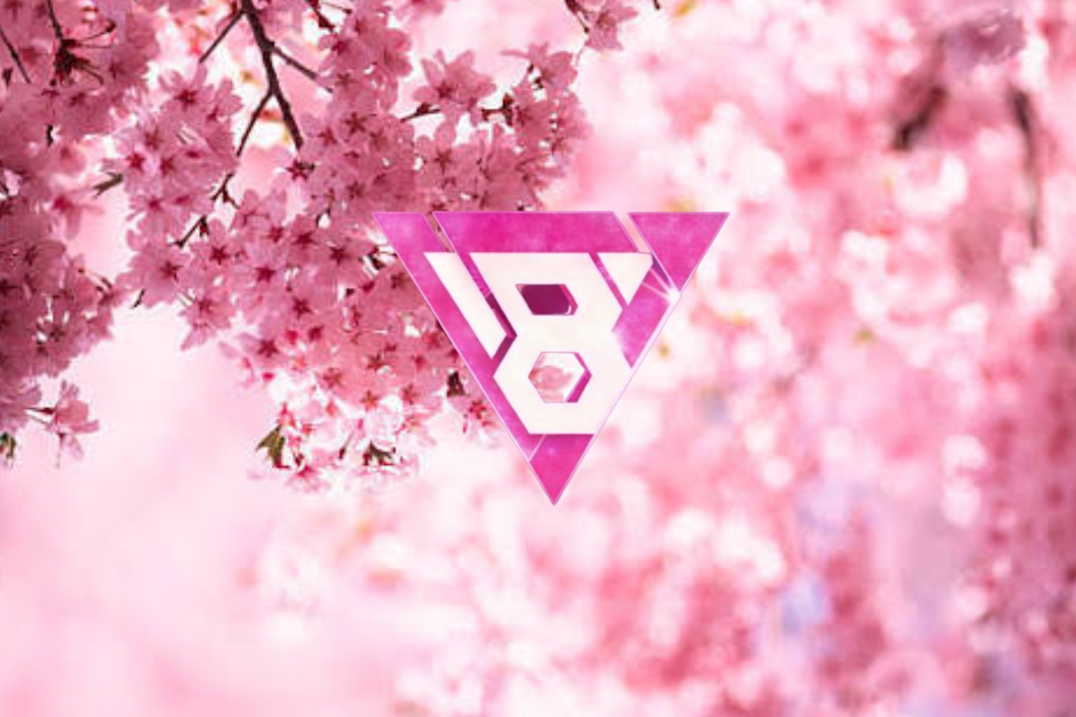 Visual 8