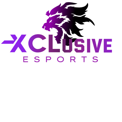 THE XCL STORE