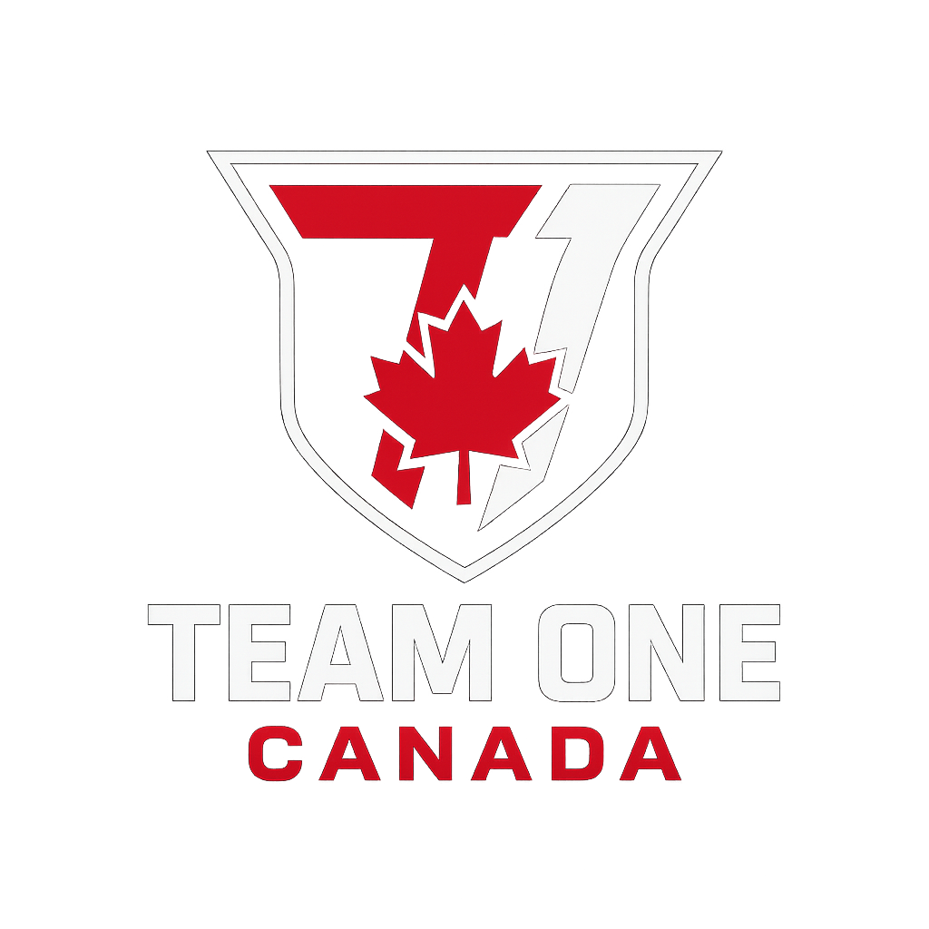 Team One Esports